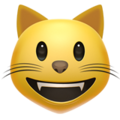 Apple 😺 gato sorridente