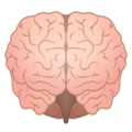 Emojidex 🧠 cerveau