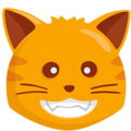 Messenger😺 Smiling Cat