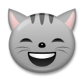 LG😸 uśmiechnięty kot z uśmiechniętymi oczami