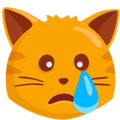 Messenger😿 weinende Katze