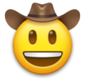 LG🤠 Cowboy Hat