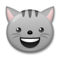 LG😺 gato sorridente