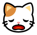 SoftBank 🙀 gatto stanco