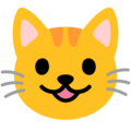 Google 😺 gato sorridente