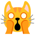 Google 🙀 Weary Cat