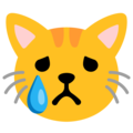 Google 😿 gato llorando