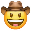 Whatsapp 🤠 Cowboy
