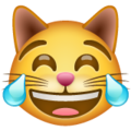 Whatsapp 😹 Katze mit Freudentränen