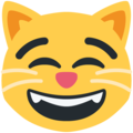 Twitter 😸 gülümseyen gözlerle sırıtan kedi