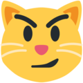 Twitter 😼 gato con sonrisa irónica