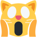 Twitter 🙀 Weary Cat