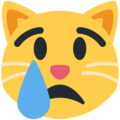 Twitter 😿 weinende Katze
