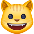 Facebook 😺 gato sorridente