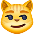 Facebook 😼 Katze mit schiefem Lächeln