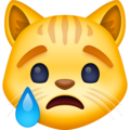 Facebook 😿 weinende Katze