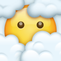 Whatsapp 😶‍🌫️ Face in Clouds