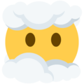 Twitter 😶‍🌫️ Face in Clouds