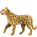 Apple 🐆 Cheetah