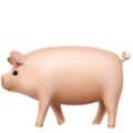 Apple 🐖🐷 Schwein