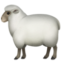 Apple 🐑 Sheep