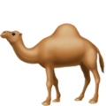 Apple 🐪🐫 Camel