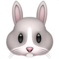 Apple 🐰 Rabbit Face