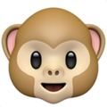 Apple 🐵 Monkey Face