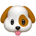Apple 🐶 Puppy