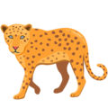 Messenger🐆 Leopard