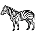 Messenger🦓 Zebra