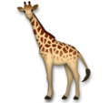 LG🦒 Giraffe