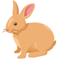Messenger🐇🐰 Bunny
