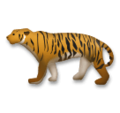 LG🐅🐯 Tiger