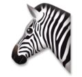 LG🦓 Zebra