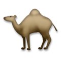 LG🐪🐫 Camel