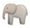 LG🐘 elefante