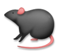 LG🐭🐀 Rat