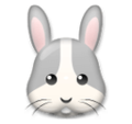 LG🐰 Rabbit Face
