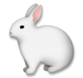 LG🐇🐰 Rabbit