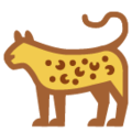HTC 🐆 Cheetah