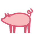 HTC 🐖🐷 porco