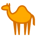 HTC 🐪🐫 camello