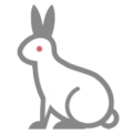HTC 🐇🐰 Bunny