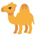 Google 🐪🐫 Camel