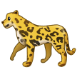 Samsung 🐆 Cheetah