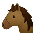 Samsung 🐴 Horse Face