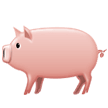 Samsung 🐖🐷 cerdo