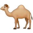 Samsung 🐪🐫 camello