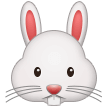 Samsung 🐰 Rabbit Face